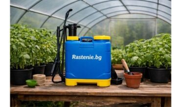 пръскачка за растения върху маса в оранжерия до саксии с разсад Rastenie.bg