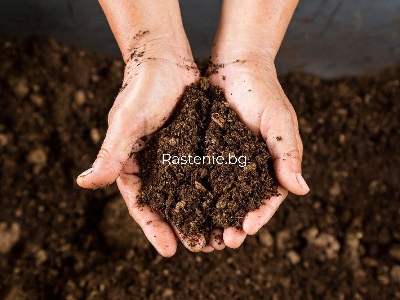 как да понижим PH на почвата